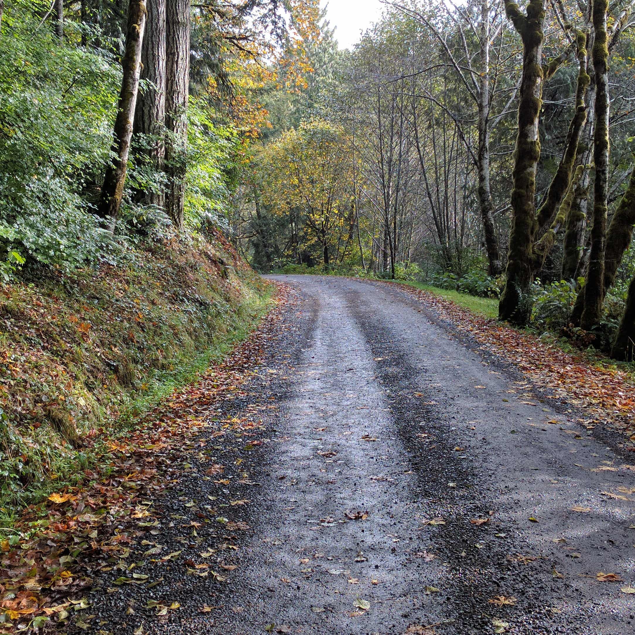 On walking the Way