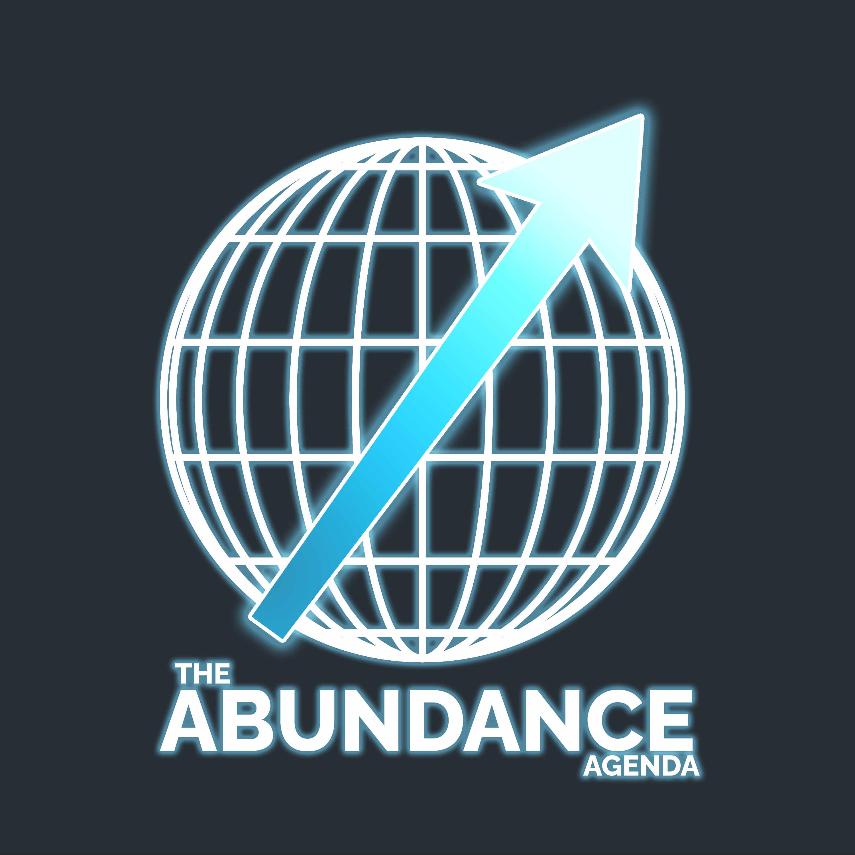 The Abundance Agenda