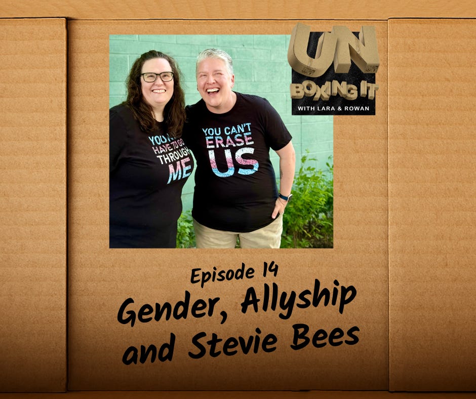 14: Gender, Allyship and Stevie Bees