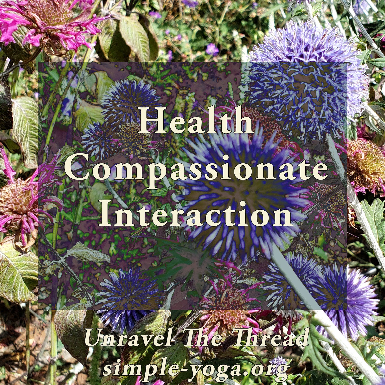 Unravel The Thread: Living the Yoga Sutra today