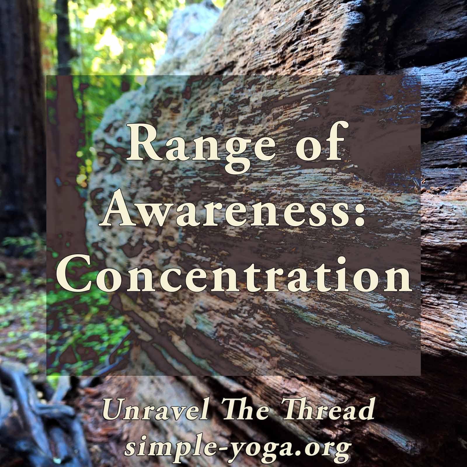 Unravel The Thread: Living the Yoga Sutra today