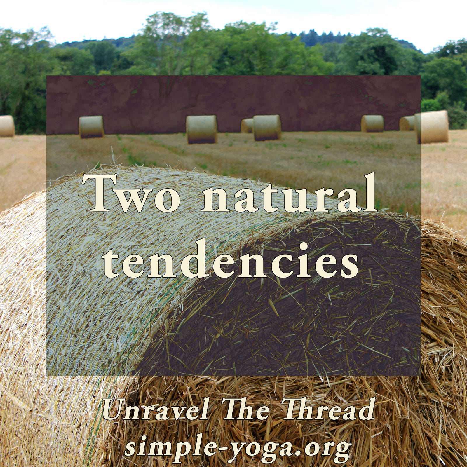 Unravel The Thread: Living the Yoga Sutra today