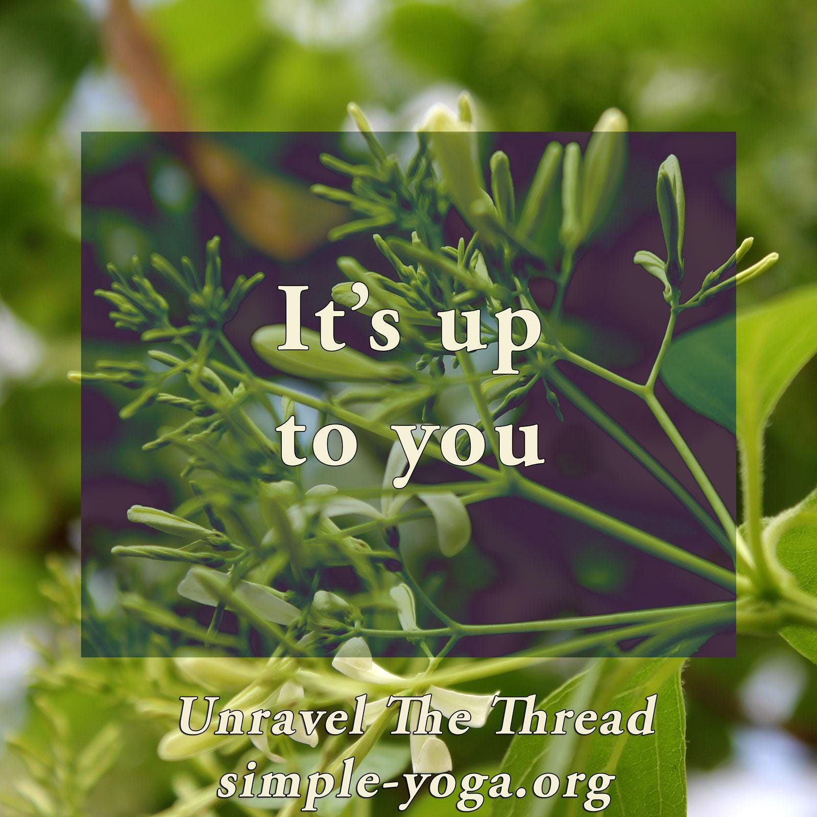 Unravel The Thread: Living the Yoga Sutra today