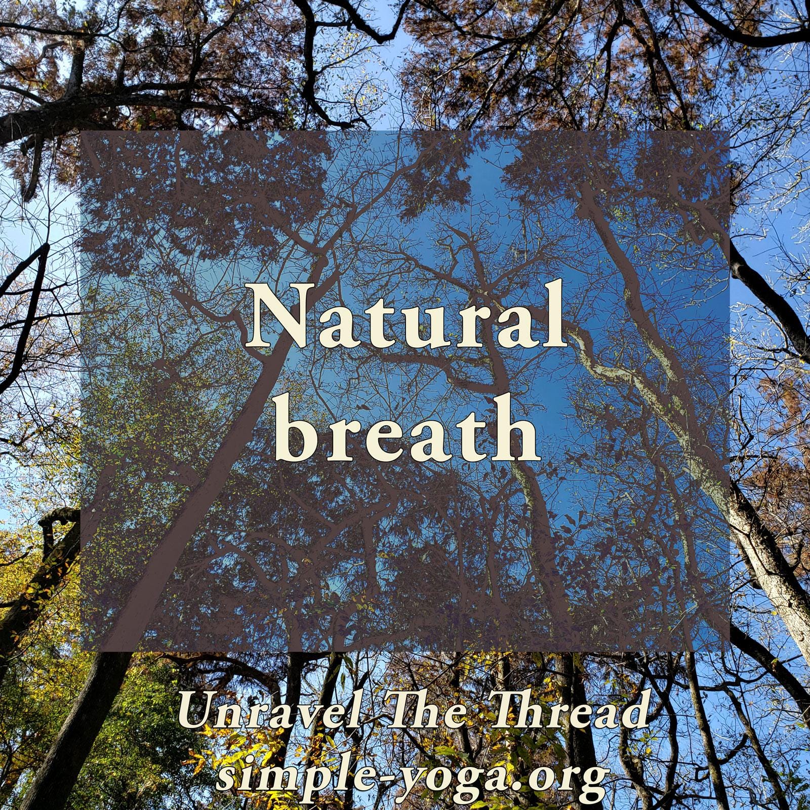 Unravel The Thread: Living the Yoga Sutra today