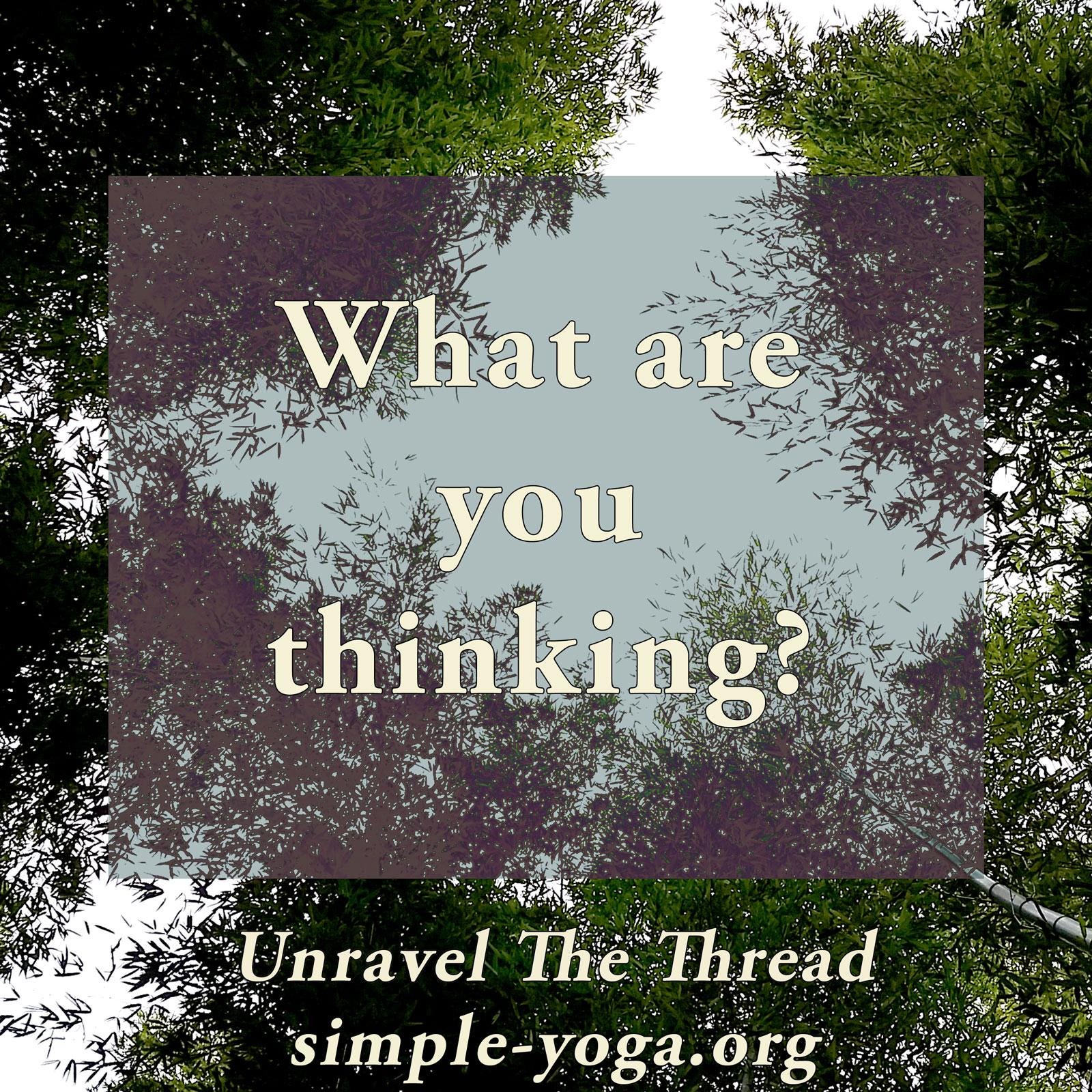 Unravel The Thread: Living the Yoga Sutra today