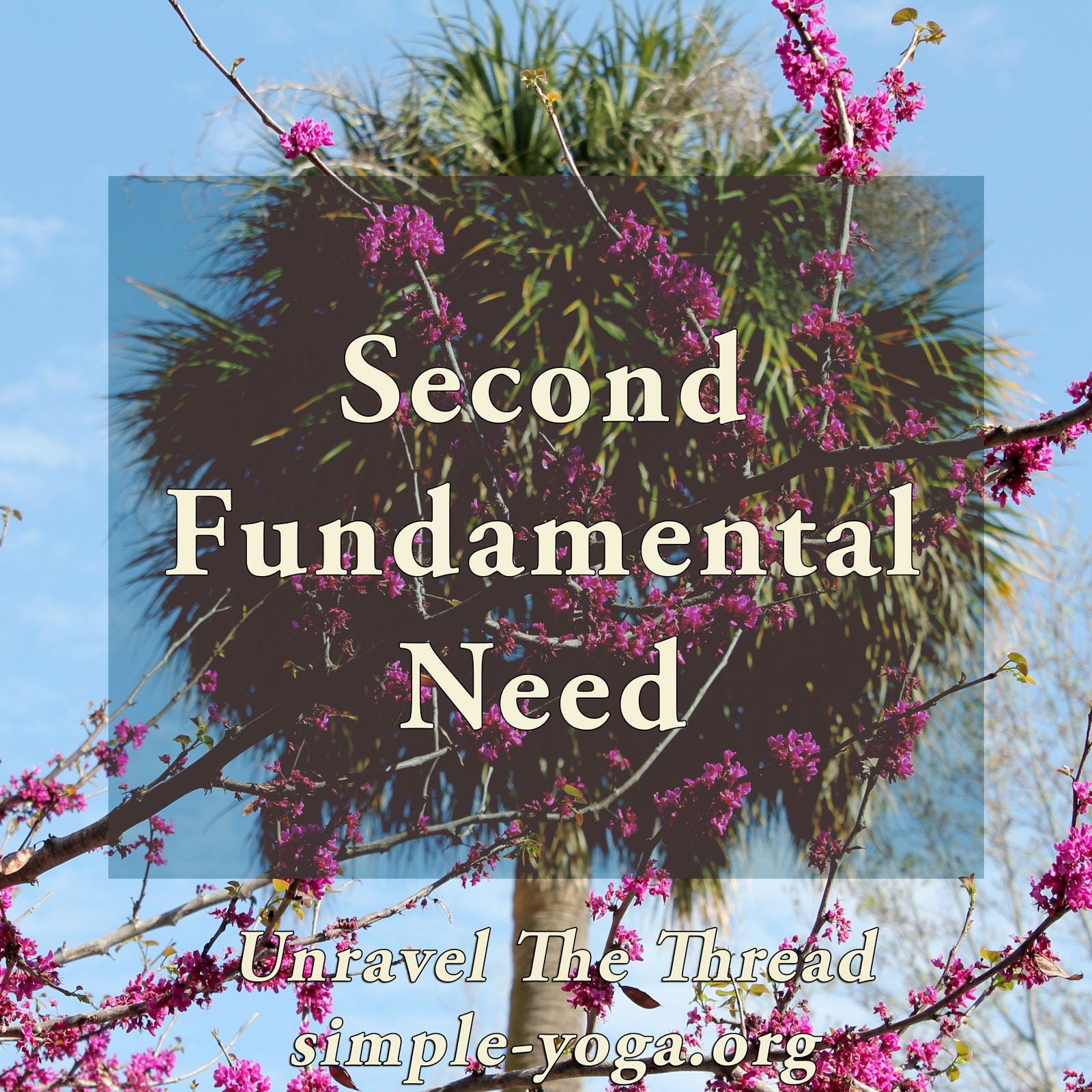 Unravel The Thread: Living the Yoga Sutra today