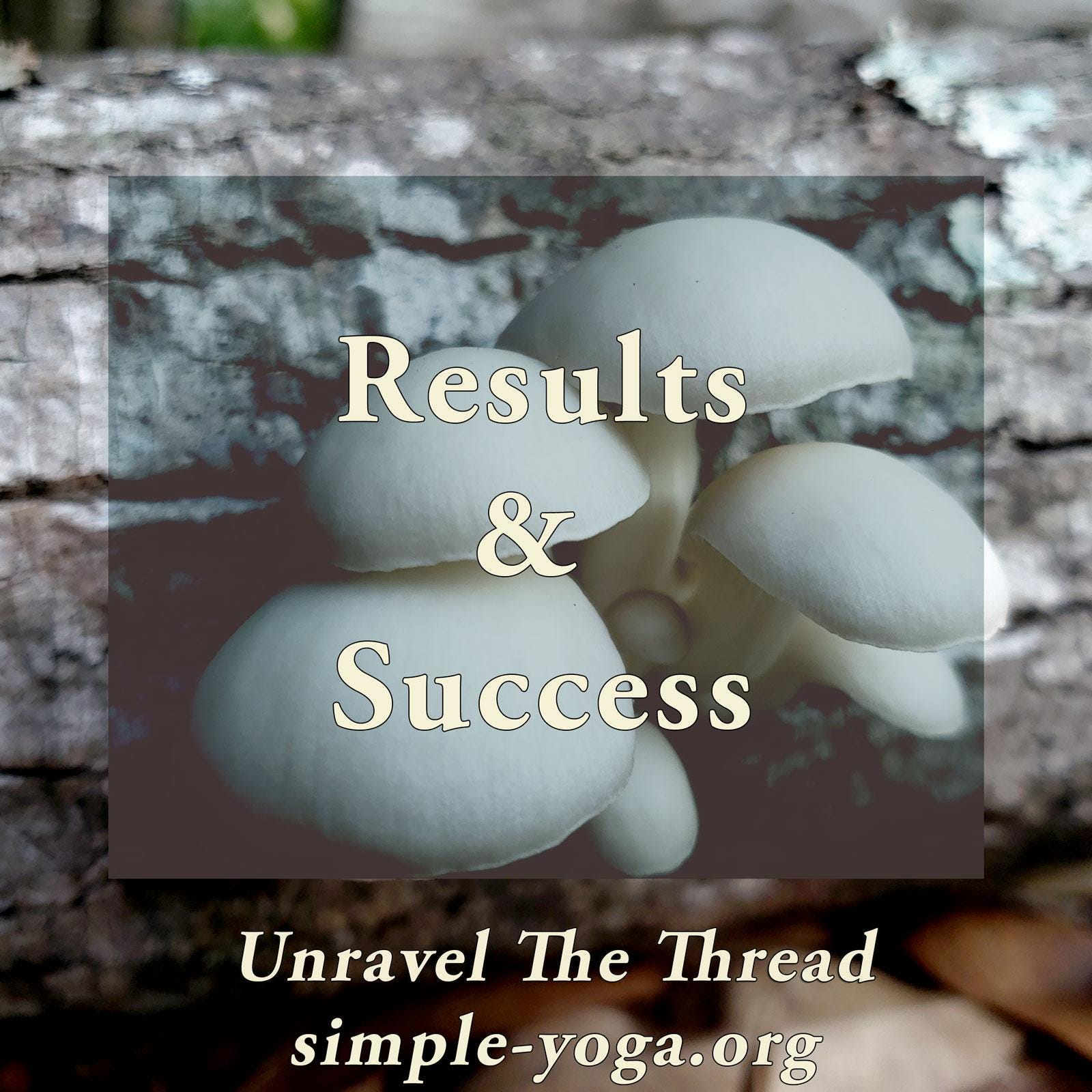 Unravel The Thread: Living the Yoga Sutra today