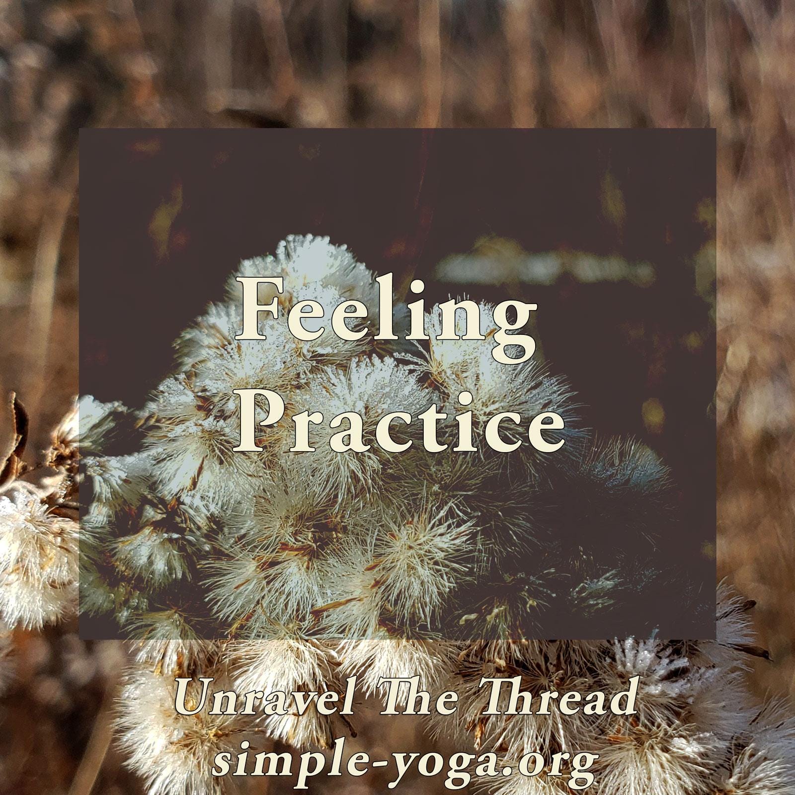 Unravel The Thread: Living the Yoga Sutra today