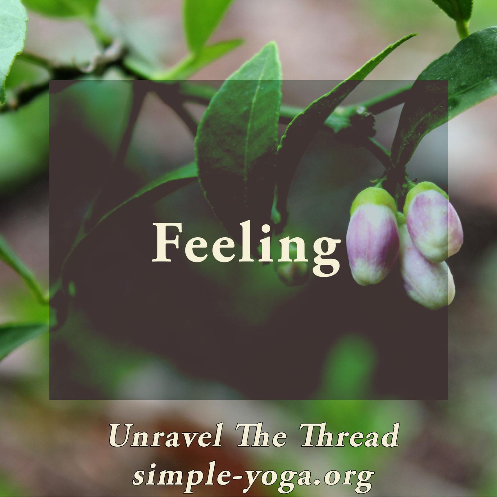Unravel The Thread: Living the Yoga Sutra today