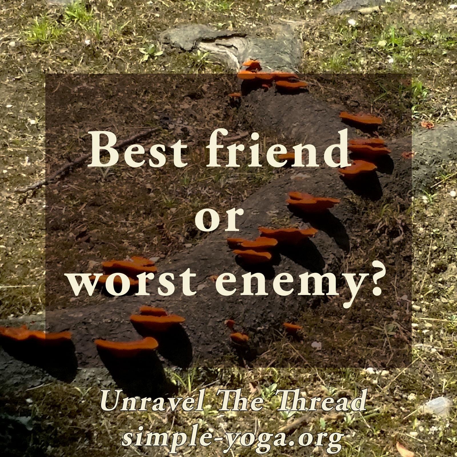 Unravel The Thread: Living the Yoga Sutra today