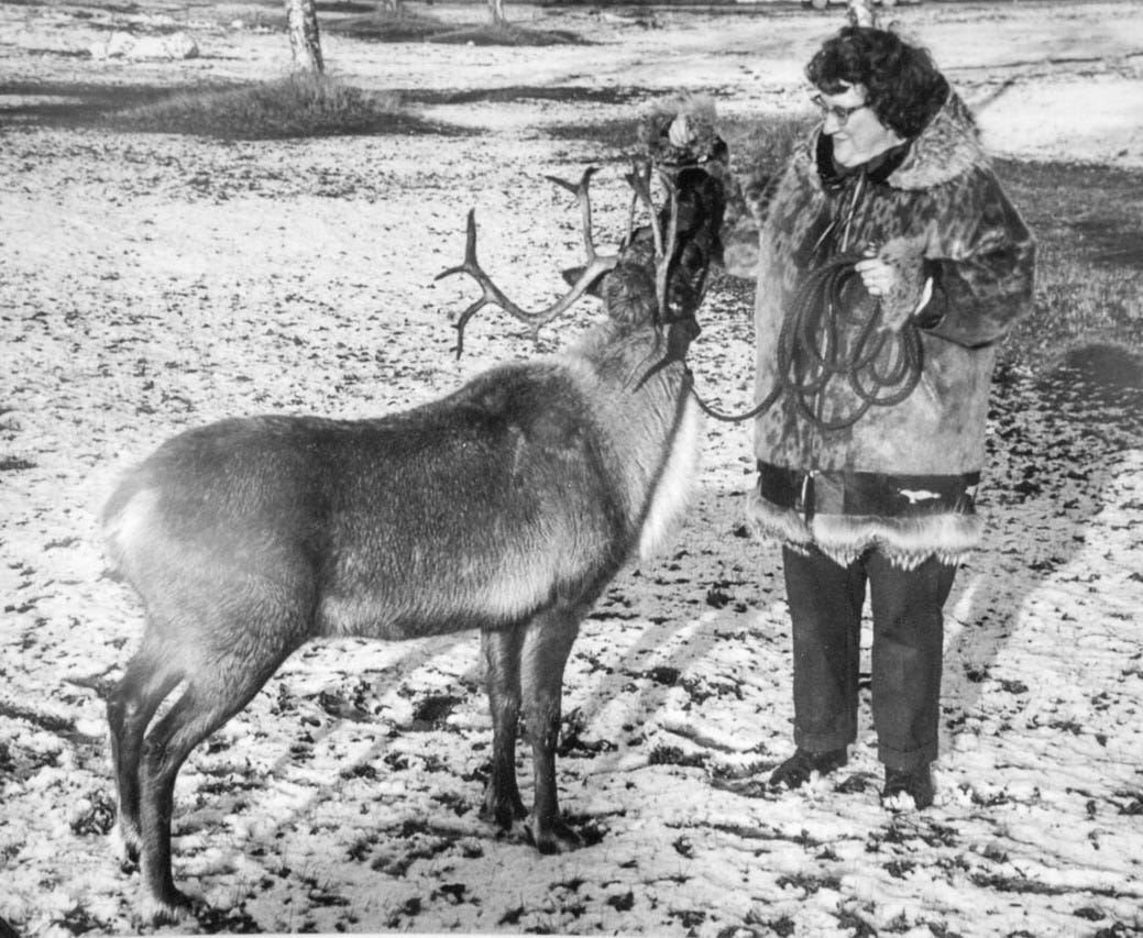 Anchorage Star the Reindeer Memories