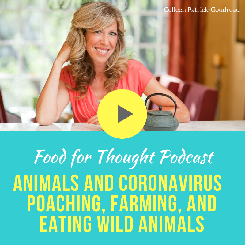 Animals and the Coronavirus Pandemic (Part One): Poaching, Farming, and Eating Wild Animals