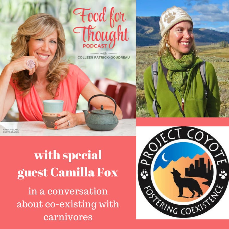 Co-Existing with Carnivores: A Conversation with Camilla Fox (Project Coyote) episode artwork