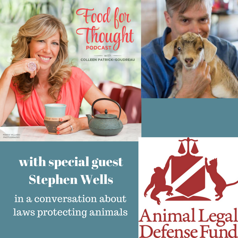 My Client is Innocent: The History and Significance of Protecting Animals Under the Law episode artwork