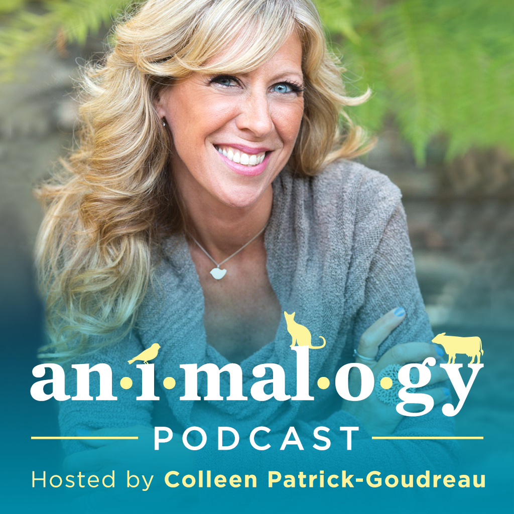 Animalogy: The Animals in Our Everyday Words & Phrases