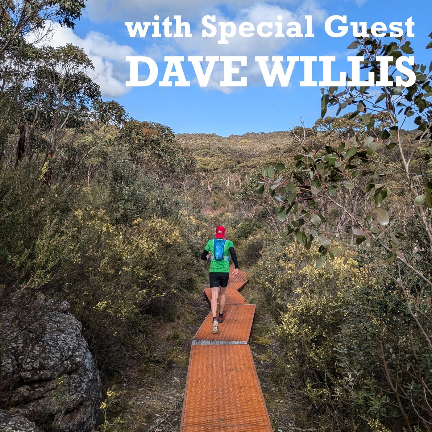 GPT Section 7: Mt William car park to Jimmy Creek Rd