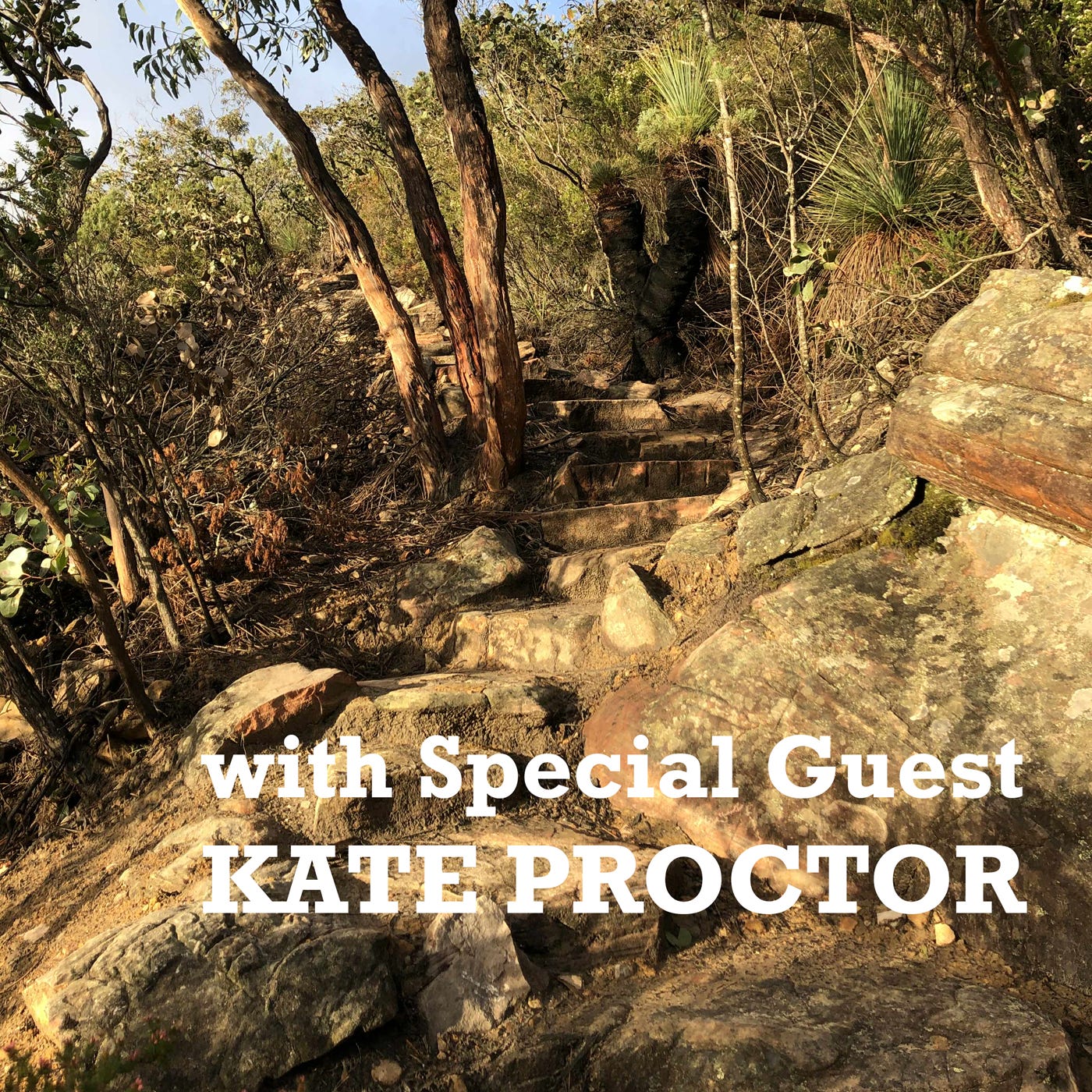 GPT Section 10: Griffin Fireline to Cassidys Gap Rd