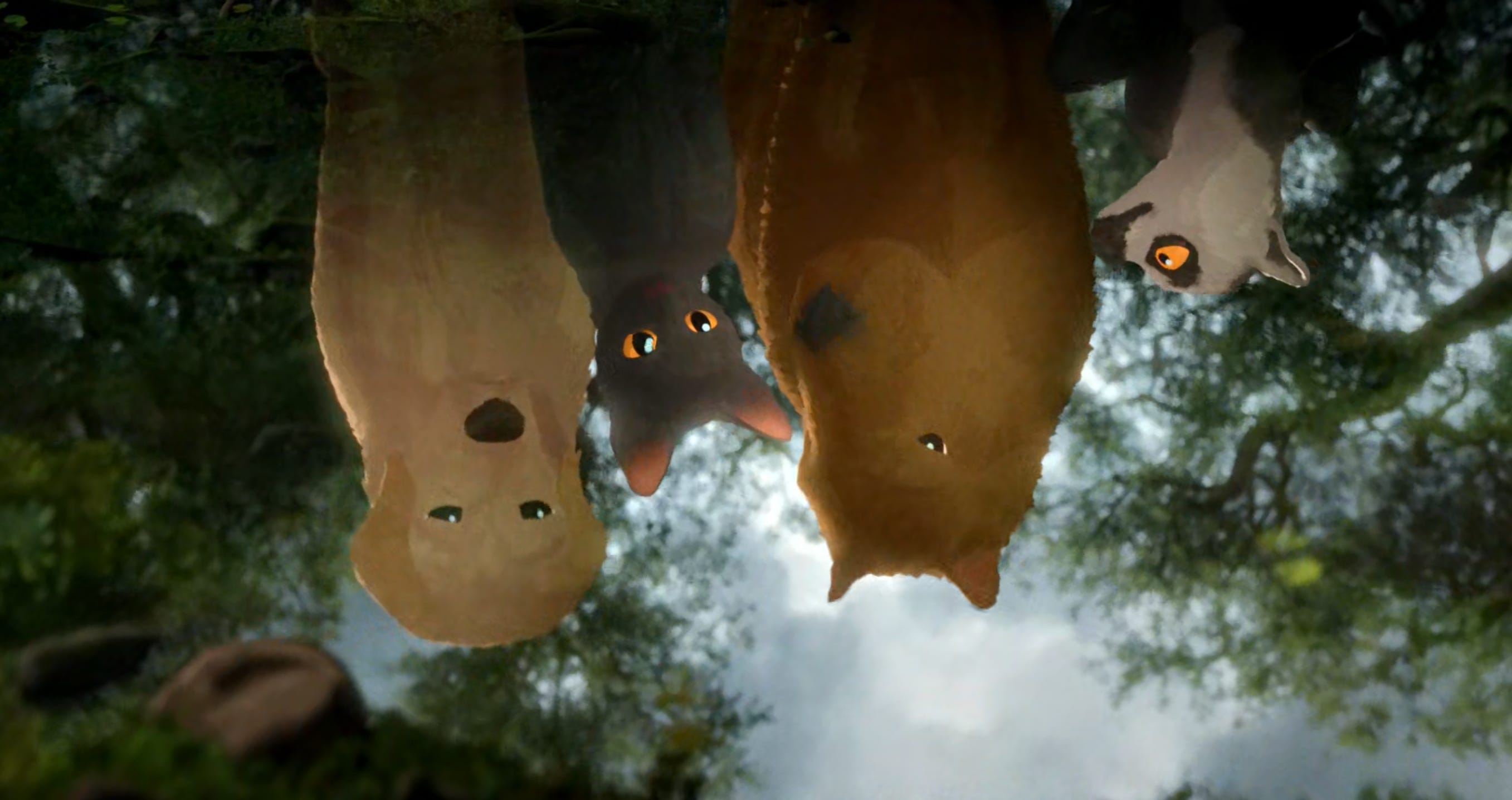 7 | Para onde vai o Flow?