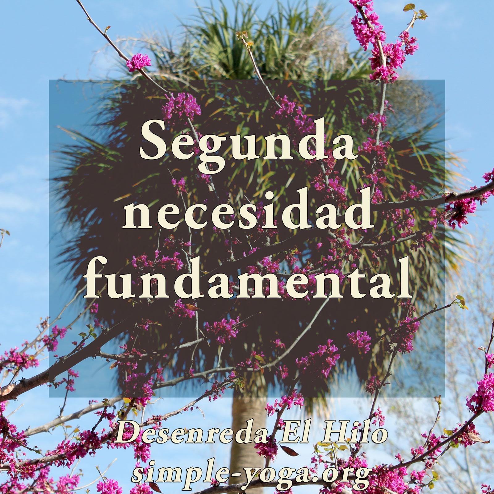 Desenreda el Hilo: Viviendo el Yoga Sutra hoy