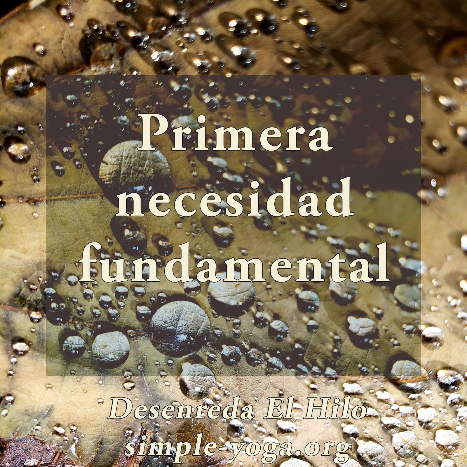 Desenreda el Hilo: Viviendo el Yoga Sutra hoy