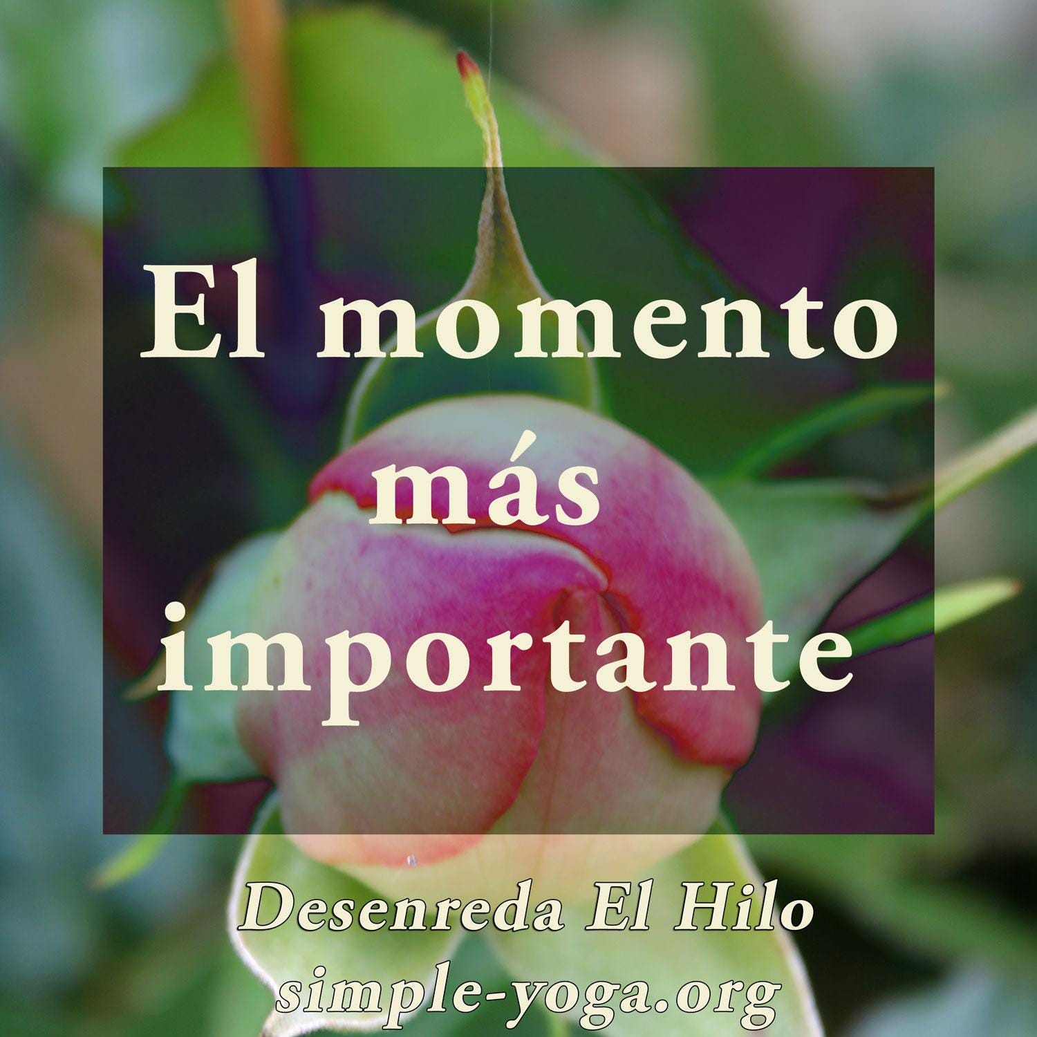 Tejiendo el Yoga Sutra: Despertar al momento mas importante episode artwork