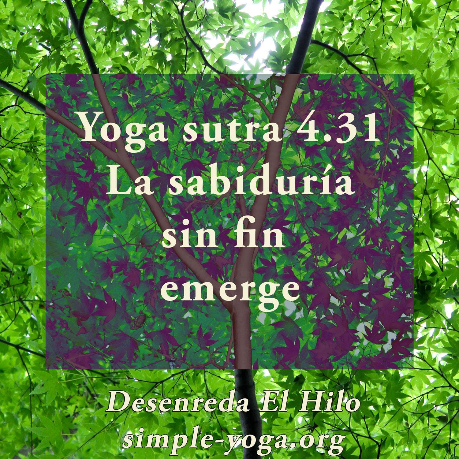 Desenreda el Hilo: Viviendo el Yoga Sutra hoy