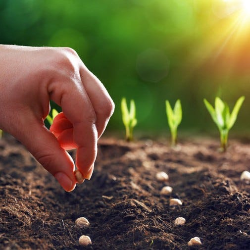 #30 Movement Catalysts Were Once Faithful Over LITTLE #30 Movement Catalysts Were Once Faithful Over LITTLE