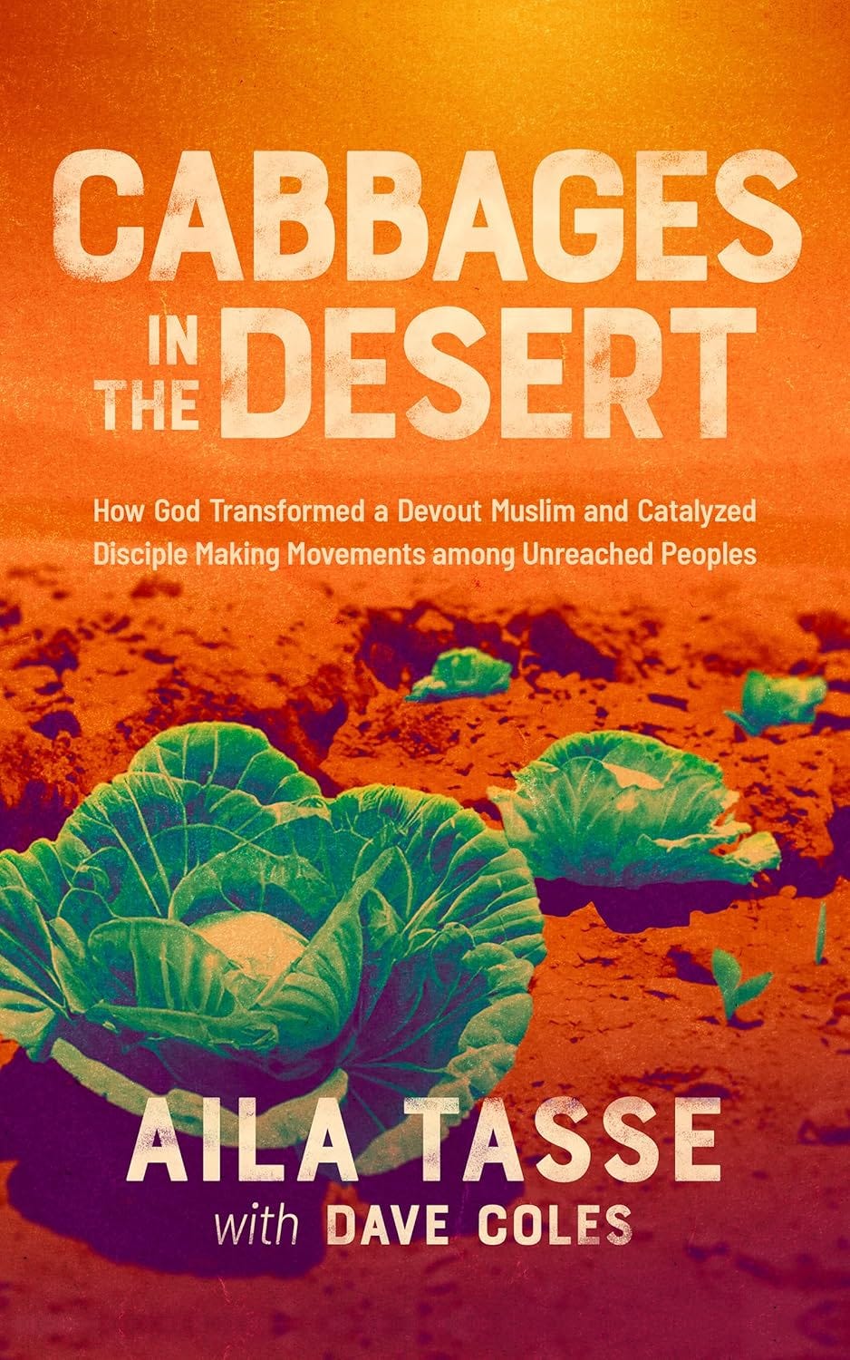 Aila Tasse on: Multiplying Leaders in Tough Places with Limited Resources, Part 1 Aila Tasse on: Multiplying Leaders in Tough Places with Limited Resources, Part 1