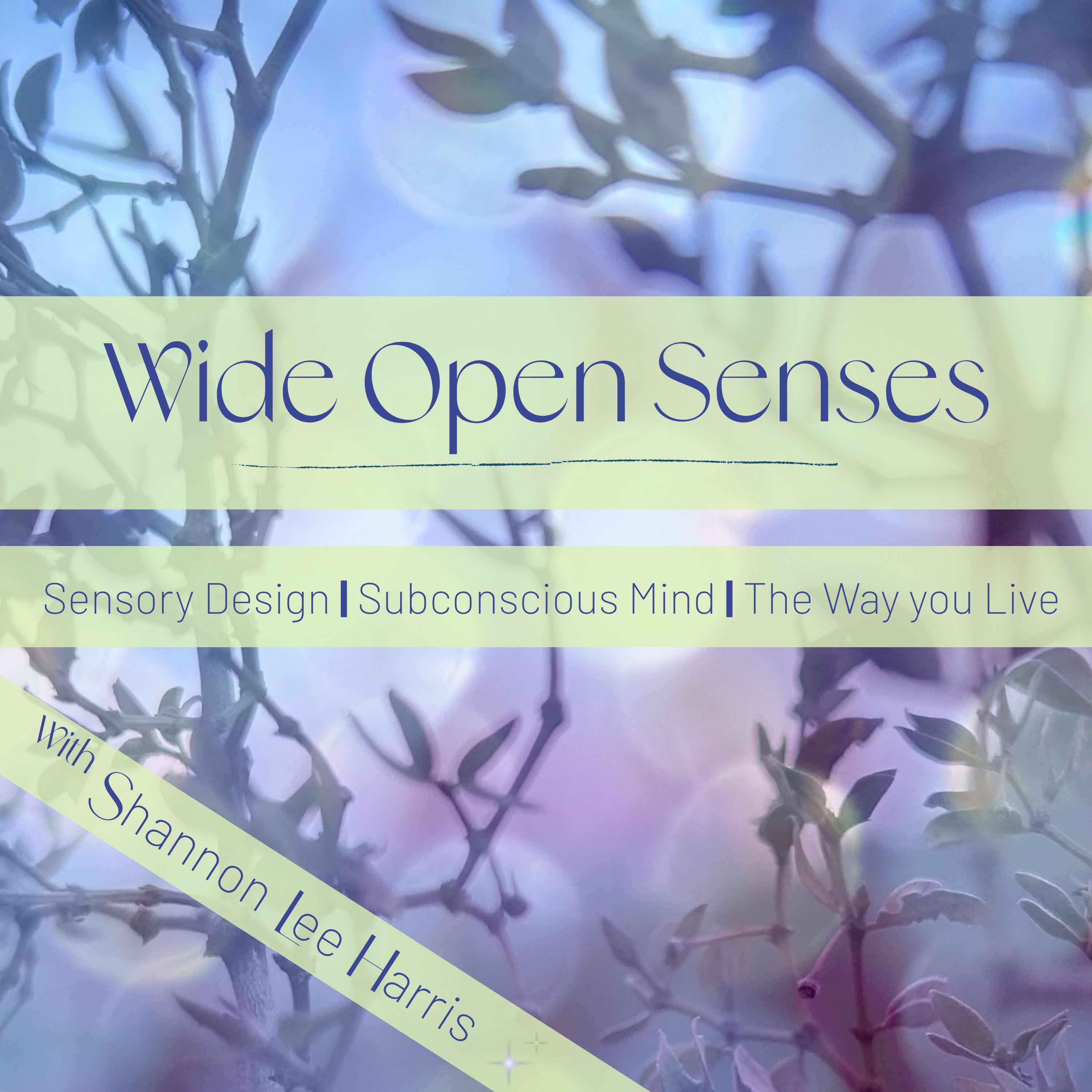 Wide Open Senses Podcast podcast artwork