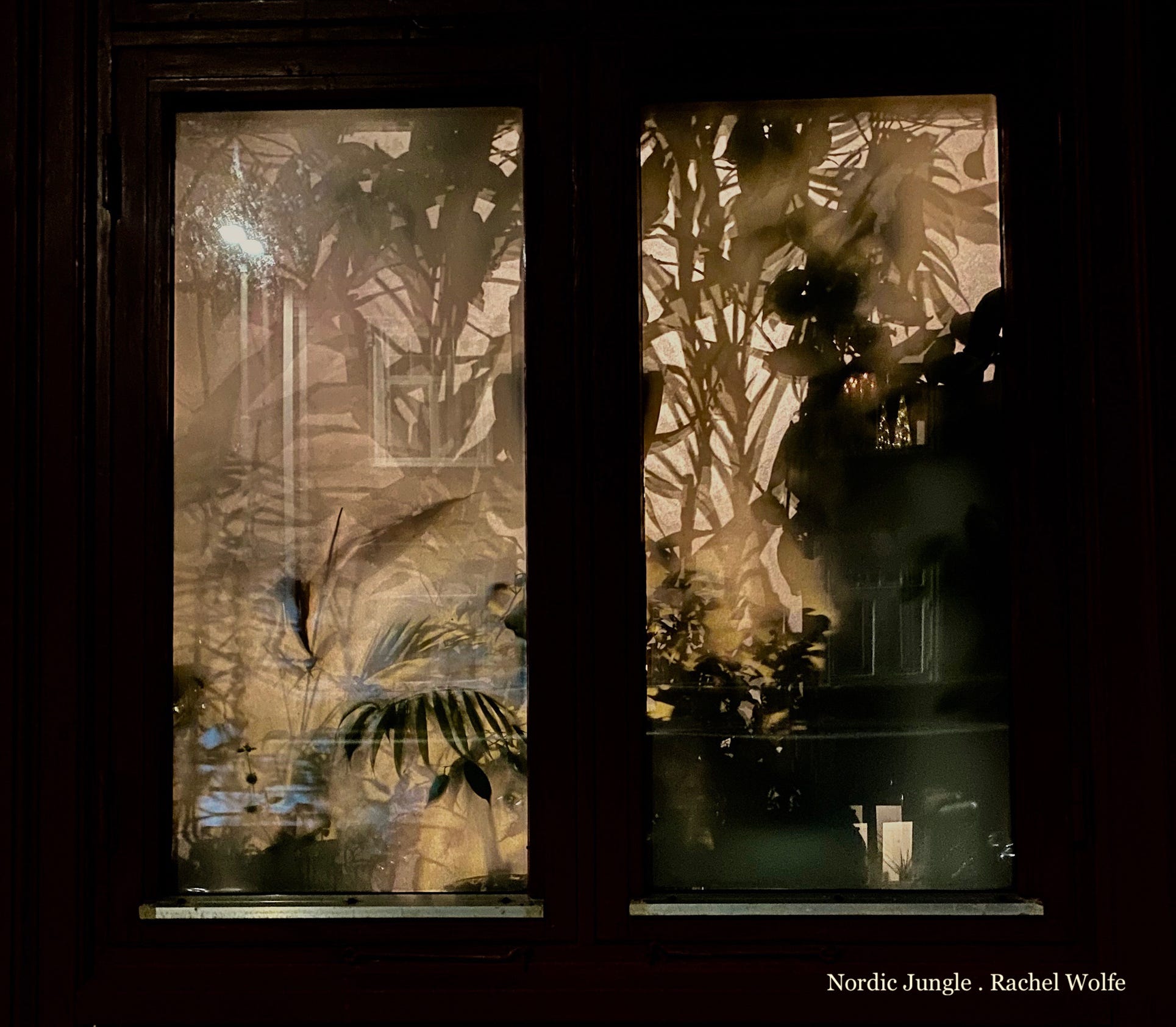 Jungle vision episode artwork