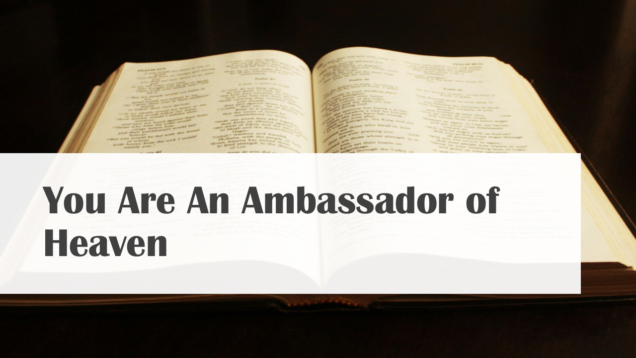 You Are An Ambassador of Heaven episode artwork