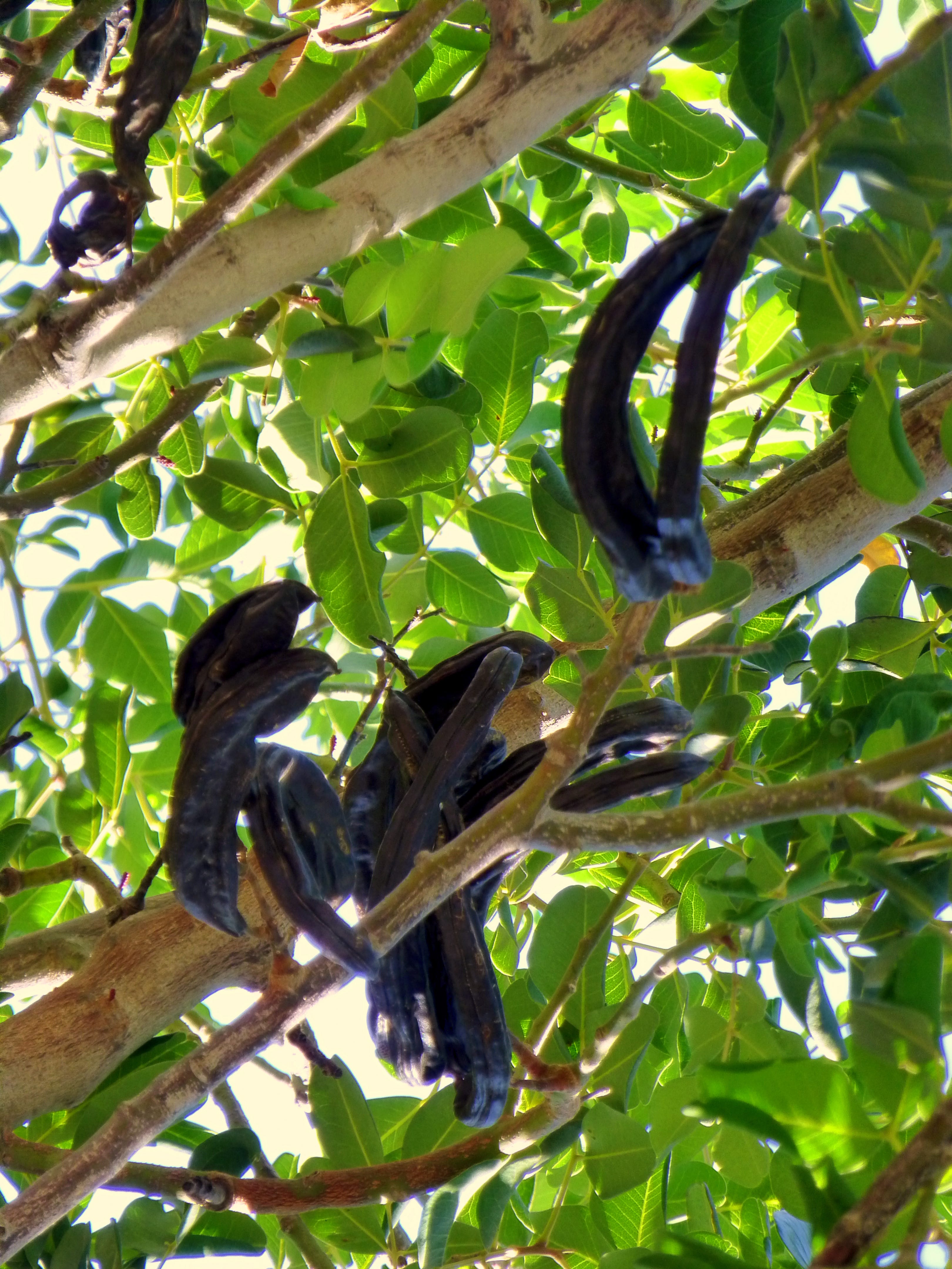 Spiritual Awakening Radio