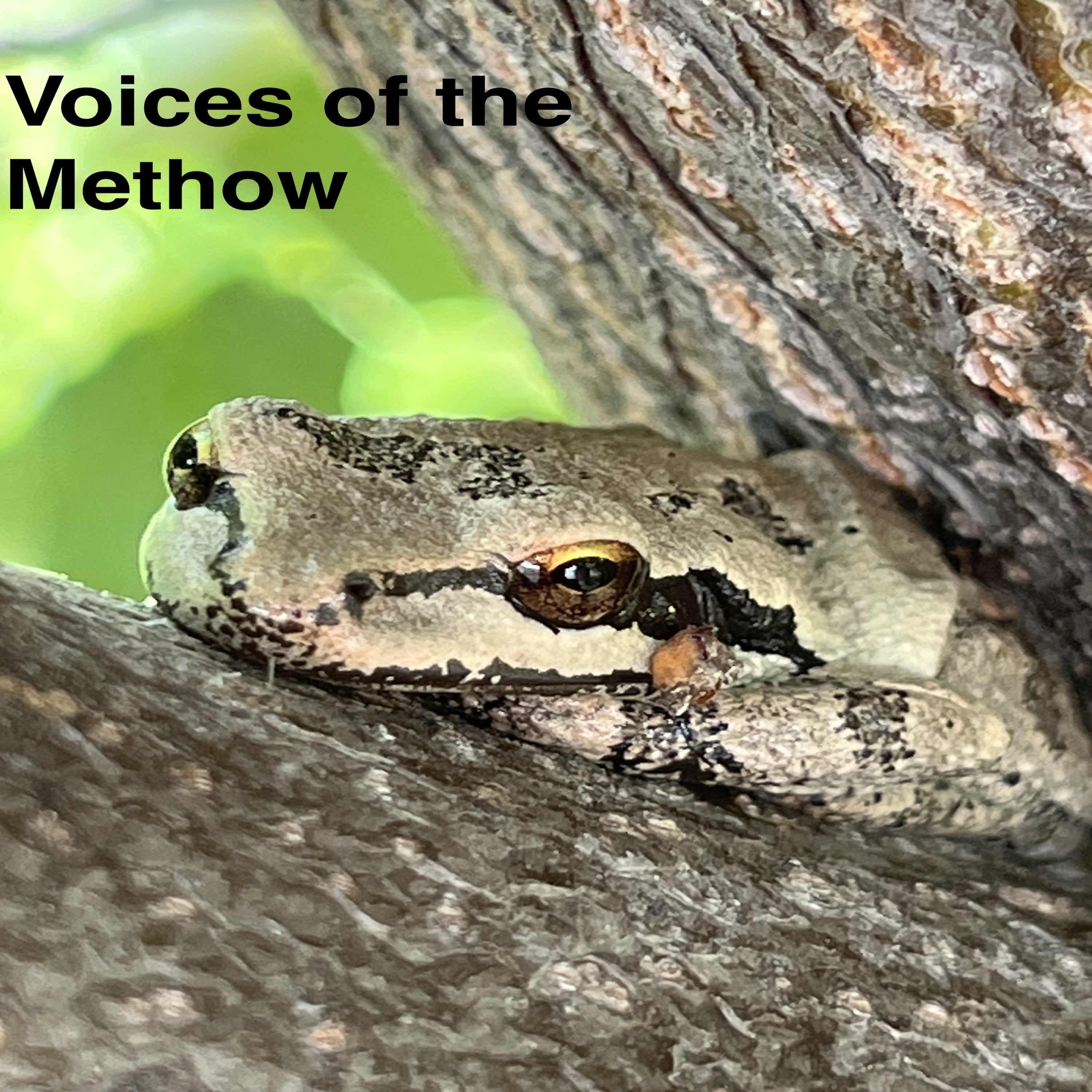 Voices of the Methow