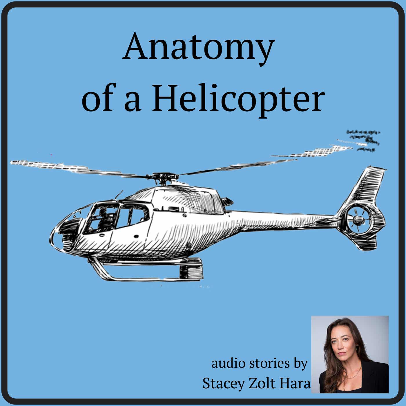 Anatomy of a Helicopter