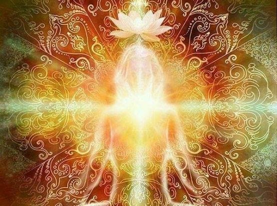 Truth and Consciousness with Erin Reese