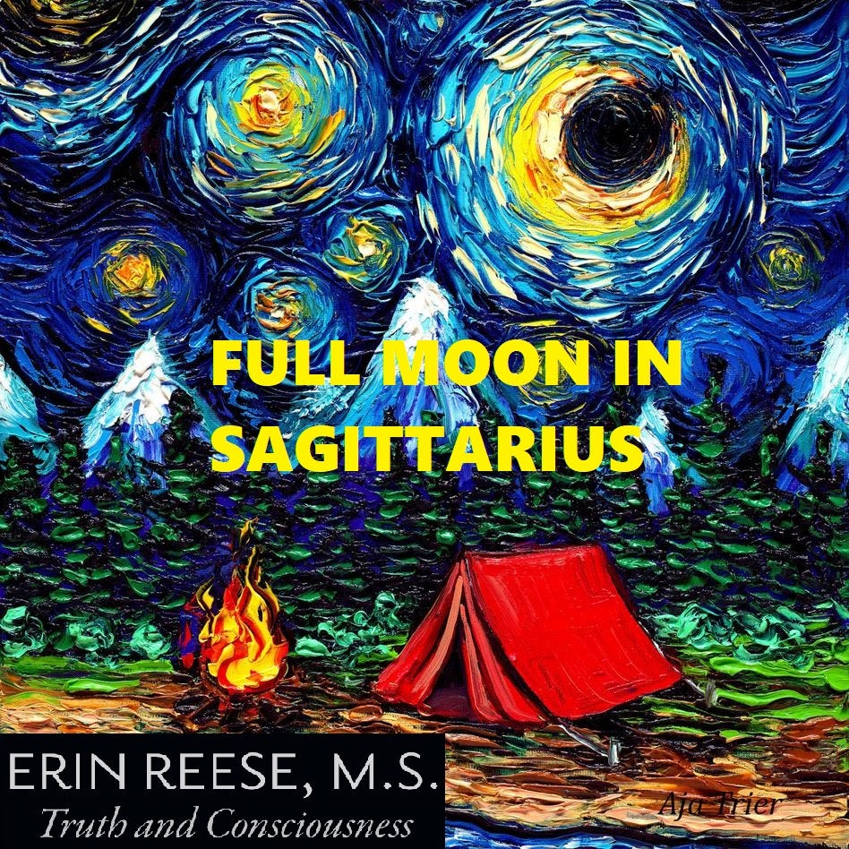 Truth and Consciousness with Erin Reese