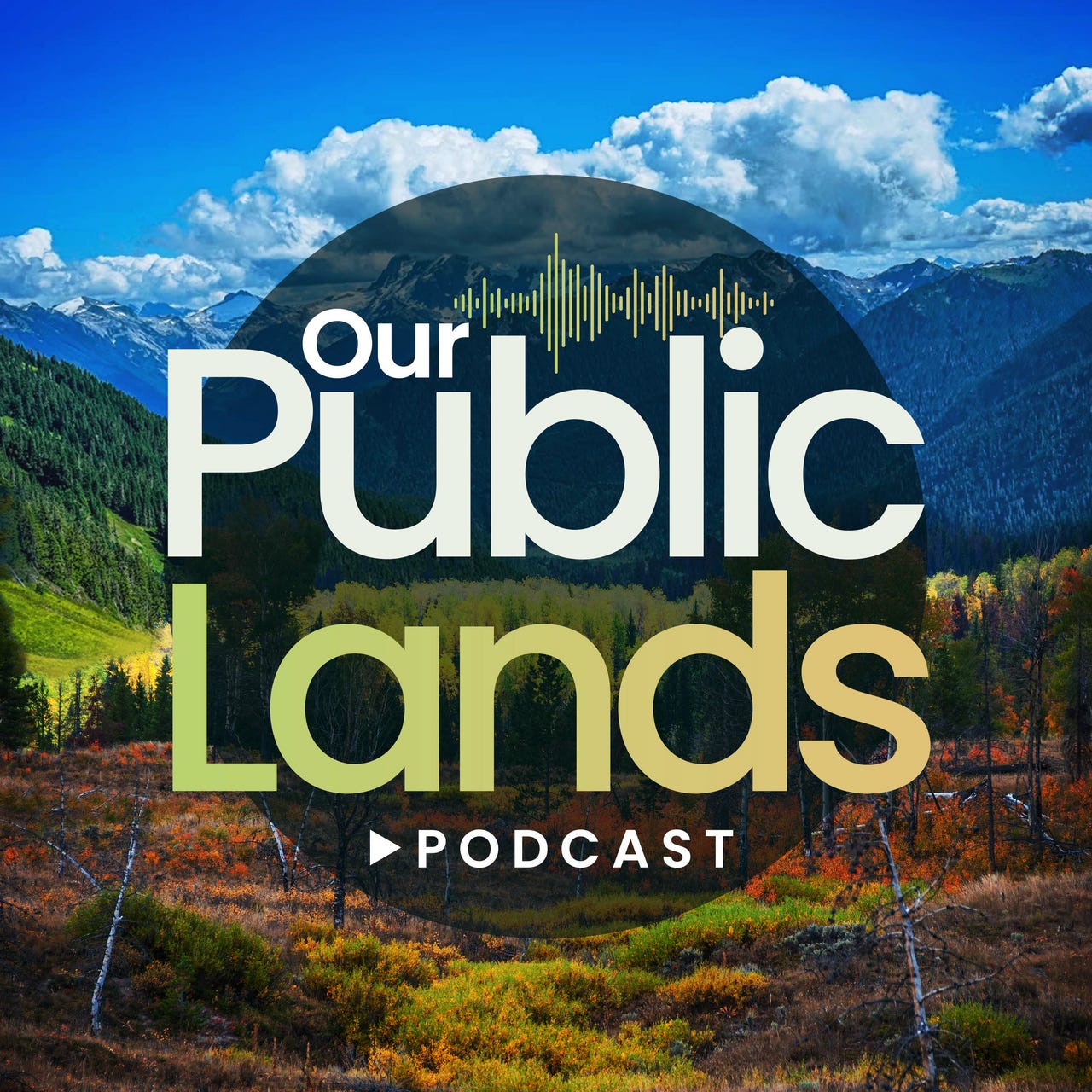 #34 - Sequoia Gate: Government Deception and Natural Regeneration in the Groves w/ Dr. Chad Hanson