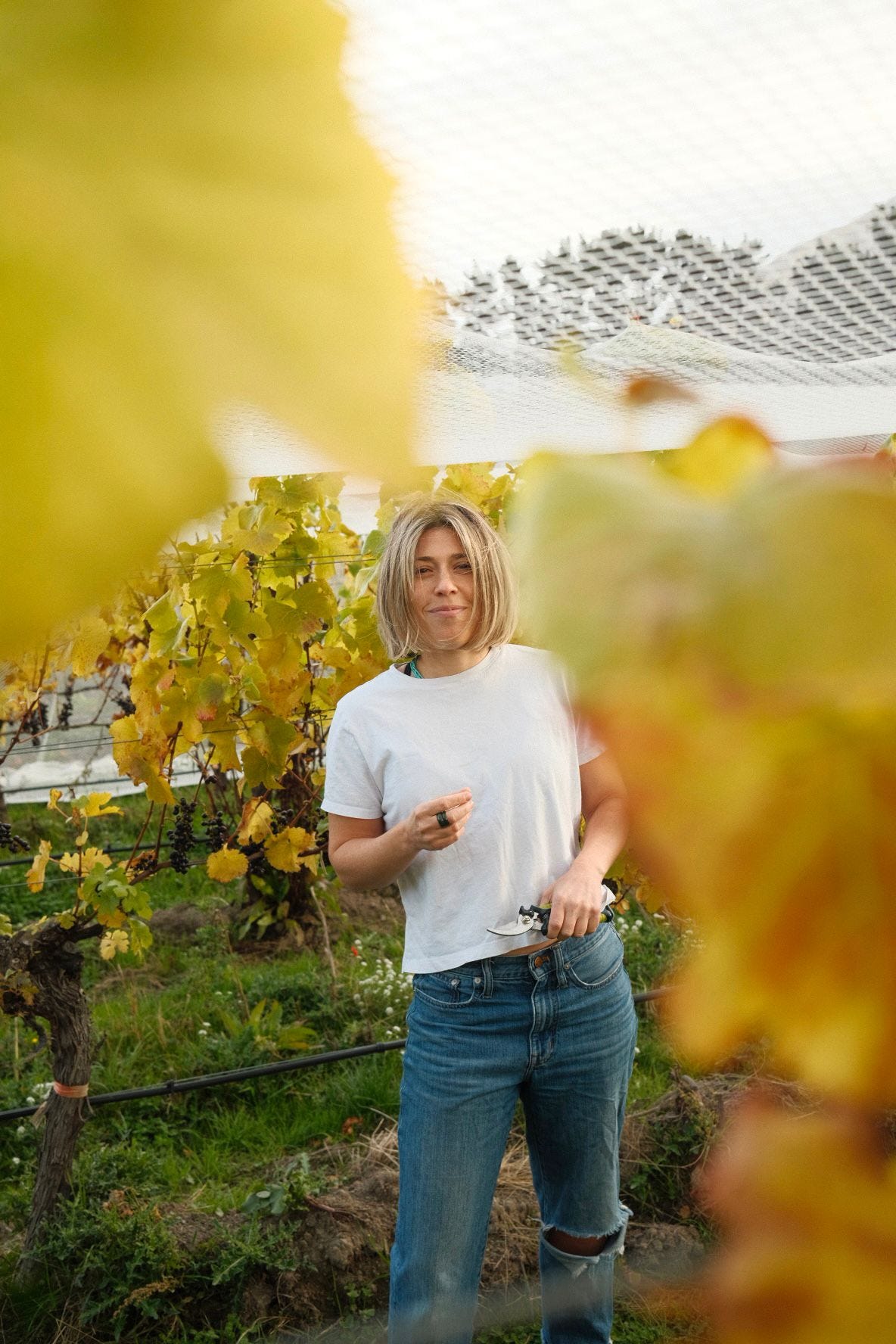 The Soul of a Vineyard - Anika Willner, Coal Pit Wine