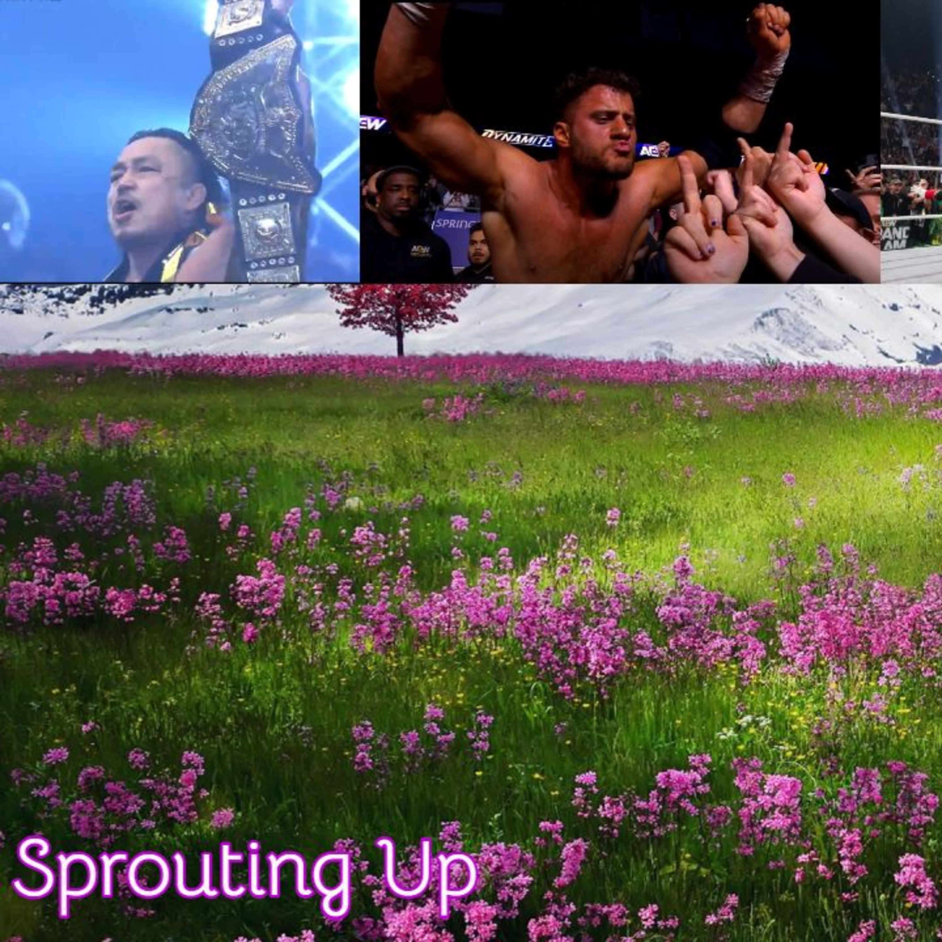 TWW #89: Sprouting Up episode artwork