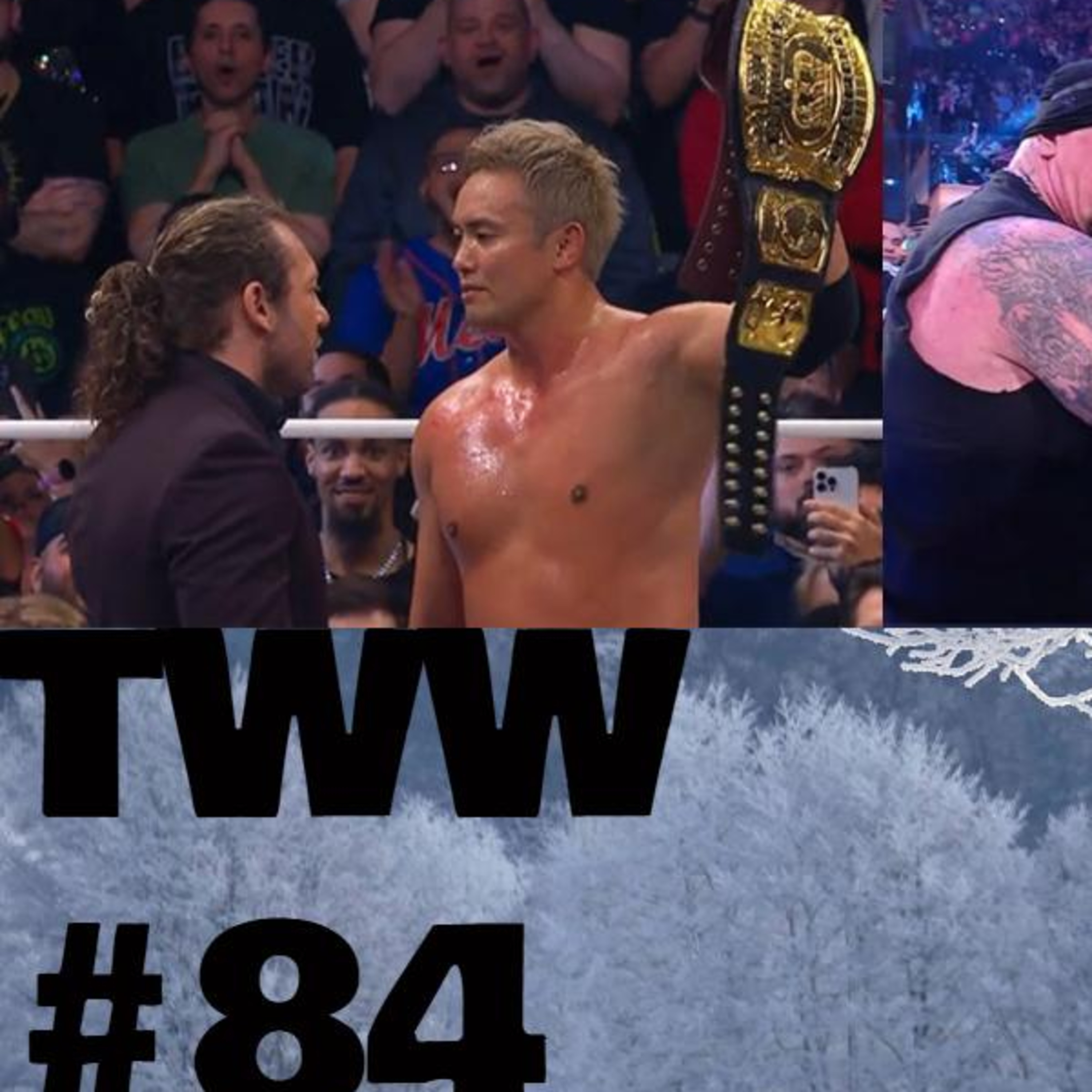 TWW #84: Streaming for Vengeance episode artwork