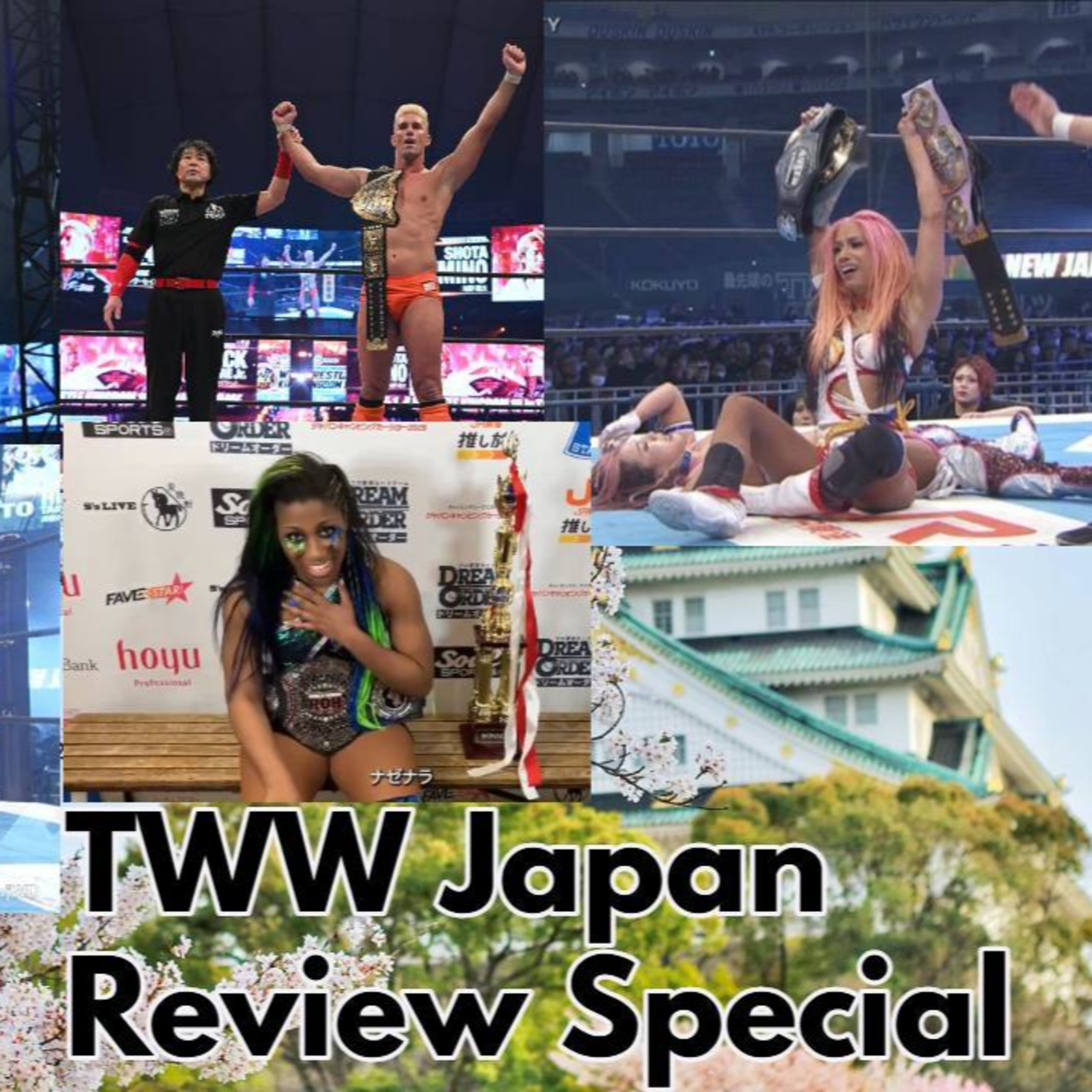 The TWW Japan Review Special episode artwork