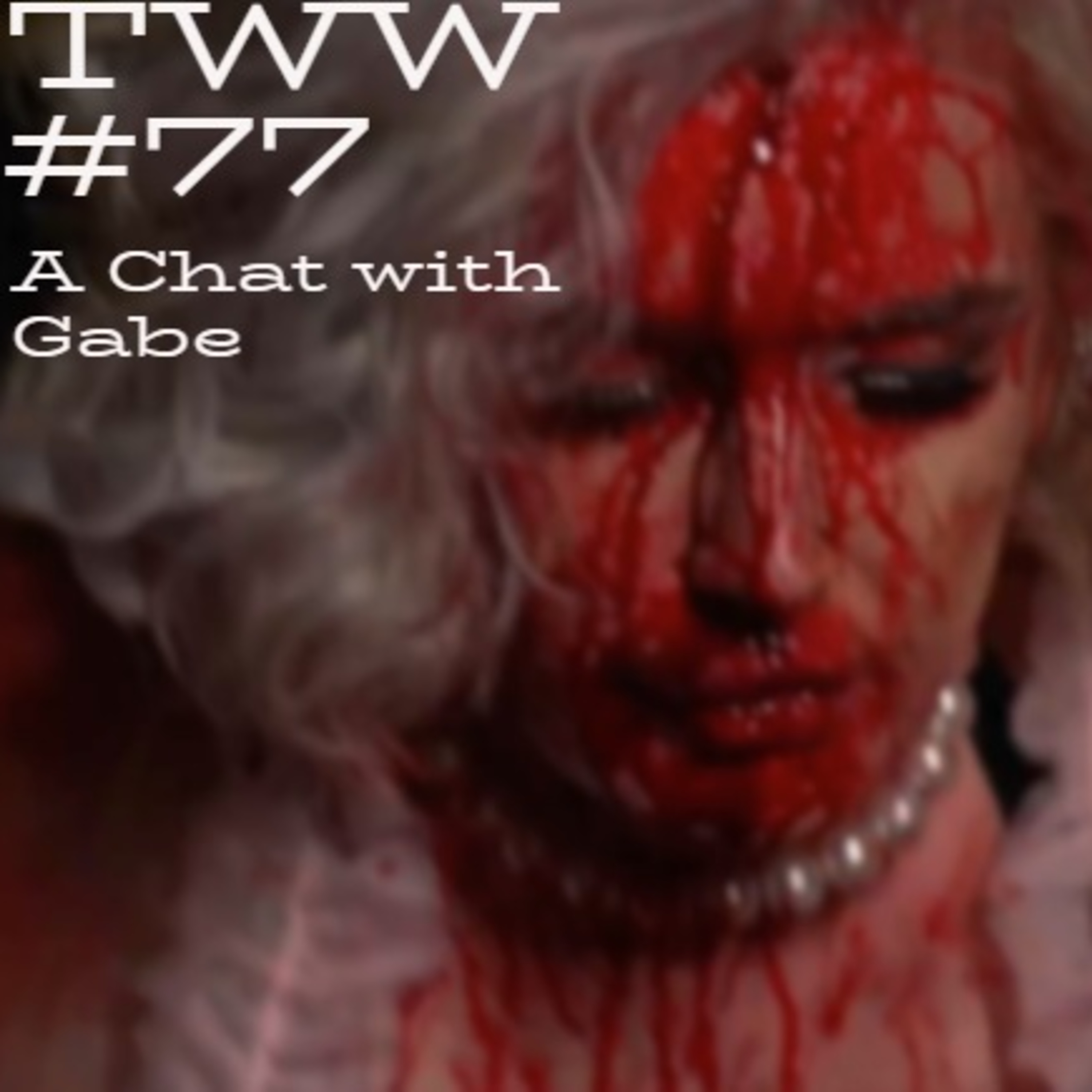 TWW #77: A Chat with Gabe episode artwork