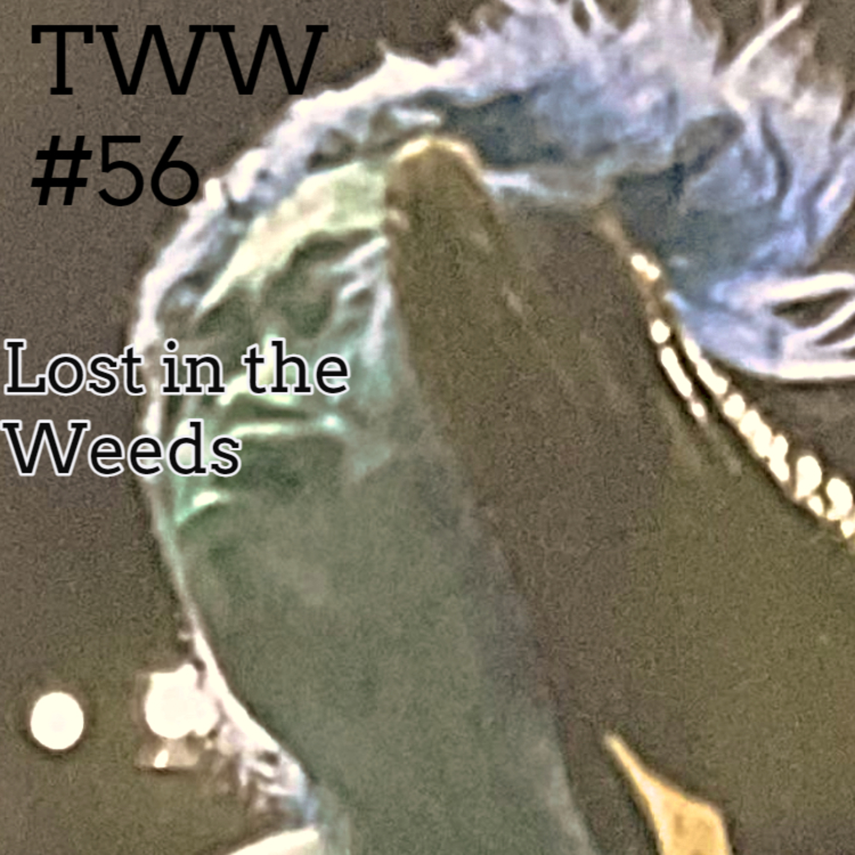 TWW #56: Lost in the Weeds episode artwork