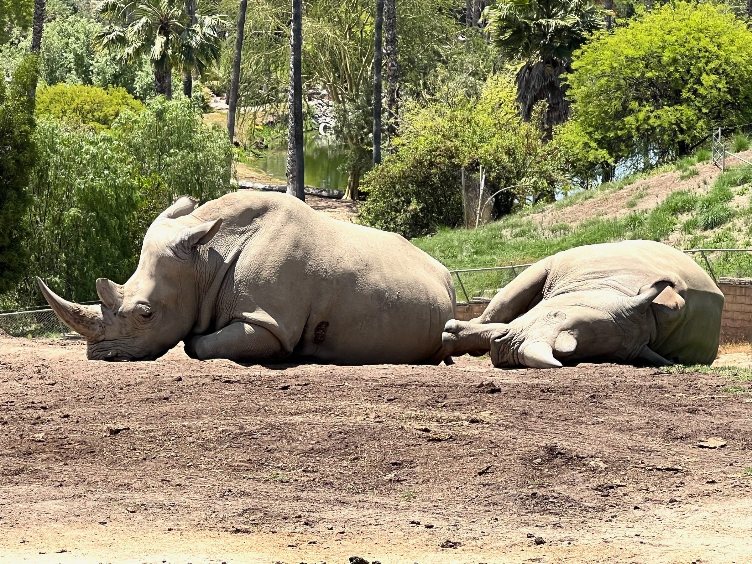 Turing Church podcast