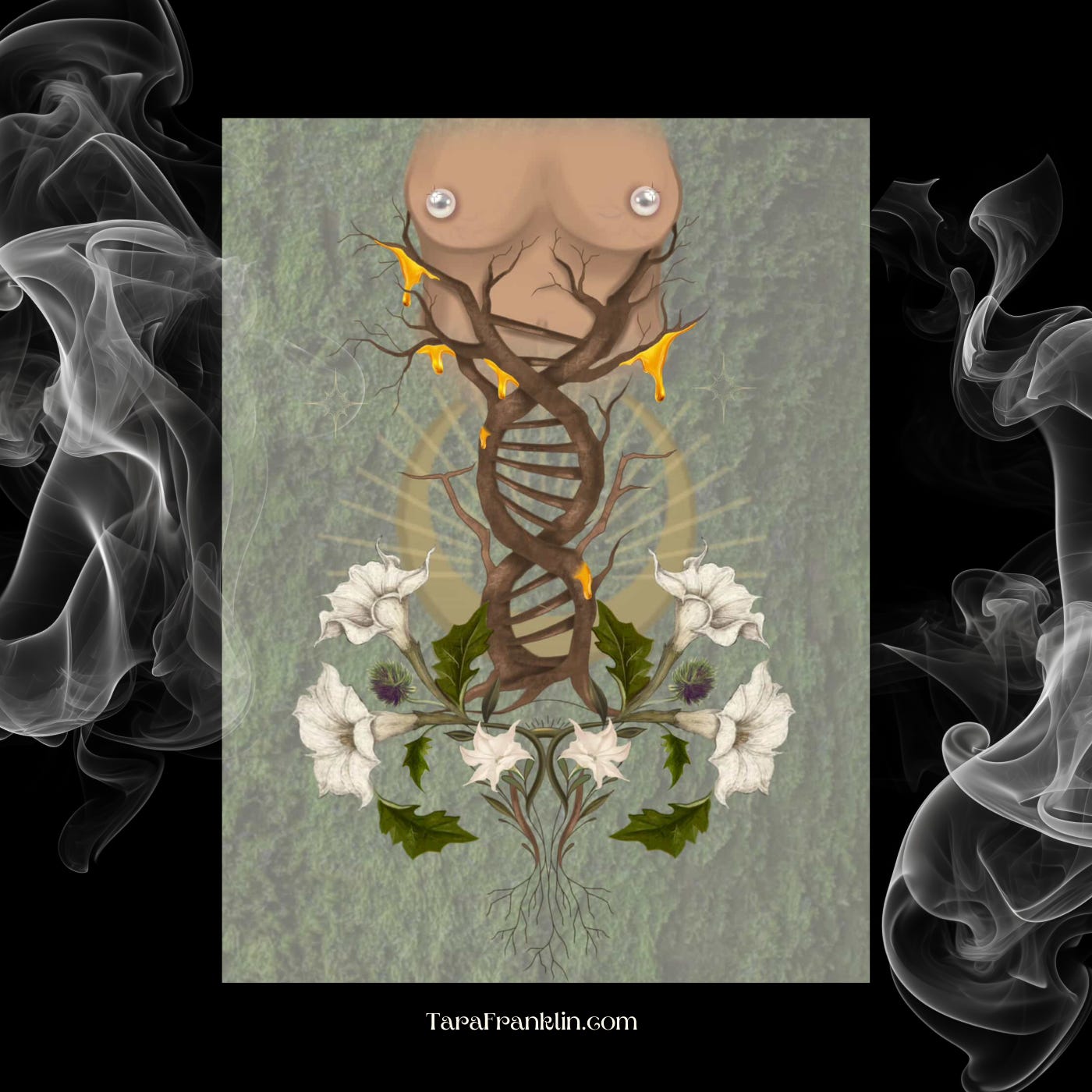 Step into my Evolutionary Portal episode artwork