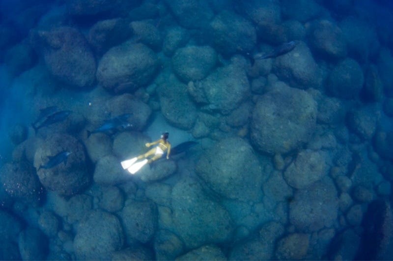 Diving Japan