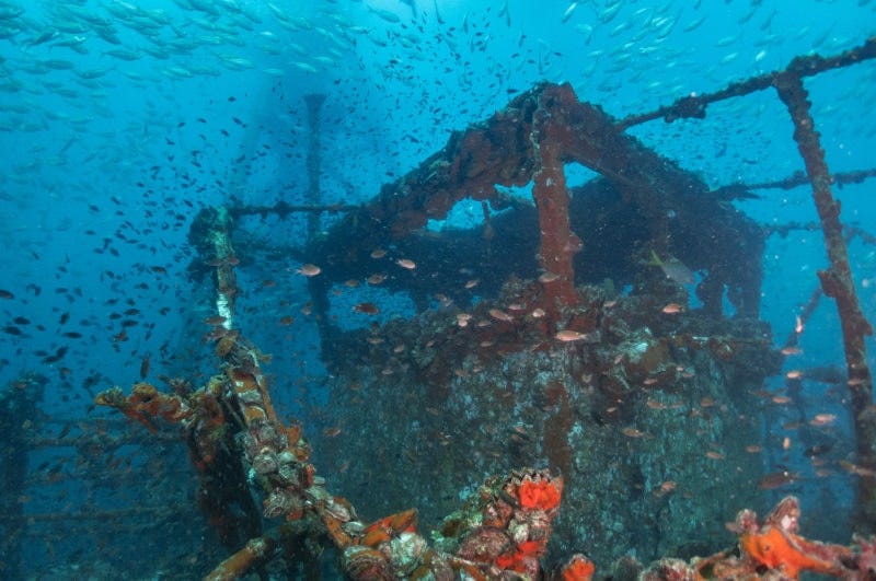 Diving HTMS Chang and Alhambra Rock, Thailand