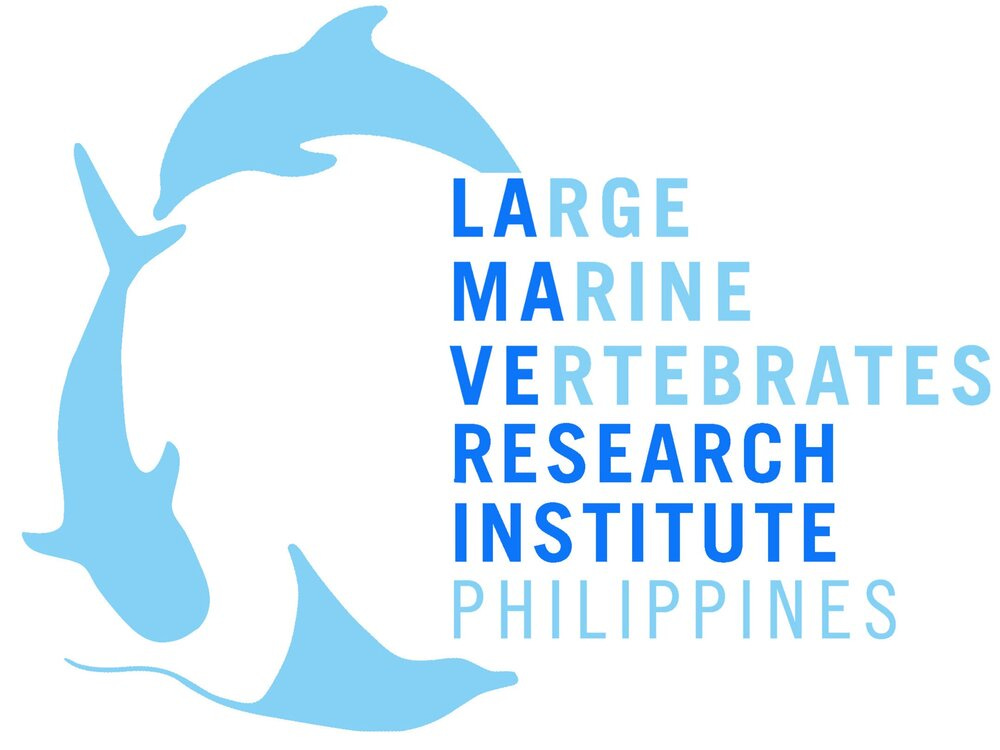 LAMAVE Volunteer Whale Shark Research
