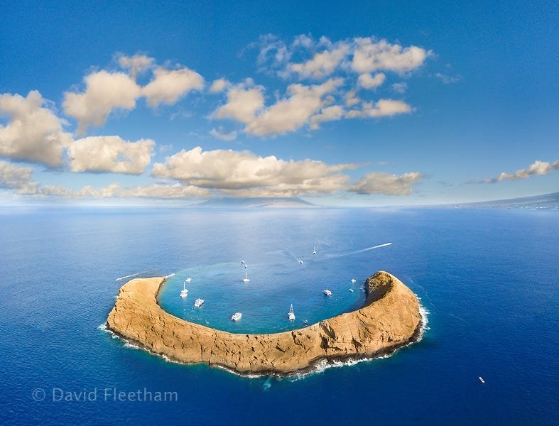 Diving Hawaii