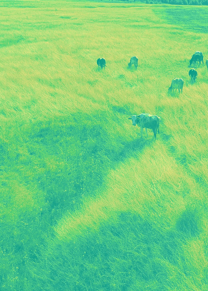 Saying Secret Goals Out Loud Saying Secret Goals Out Loud